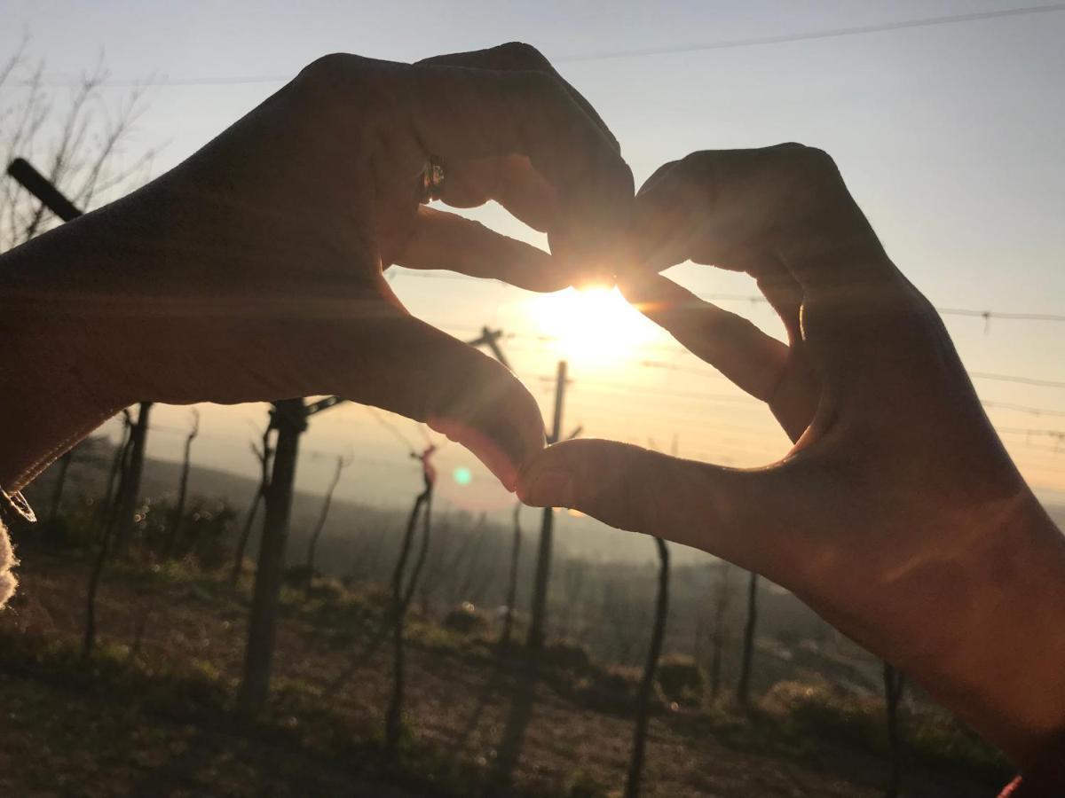 Valpolicella Hills Apartment เนกรา ภายนอก รูปภาพ