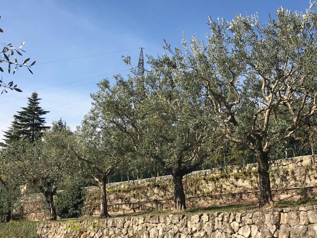 Valpolicella Hills Apartment เนกรา ภายนอก รูปภาพ